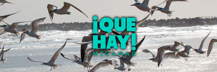 QueHayMiramar's profile banner image