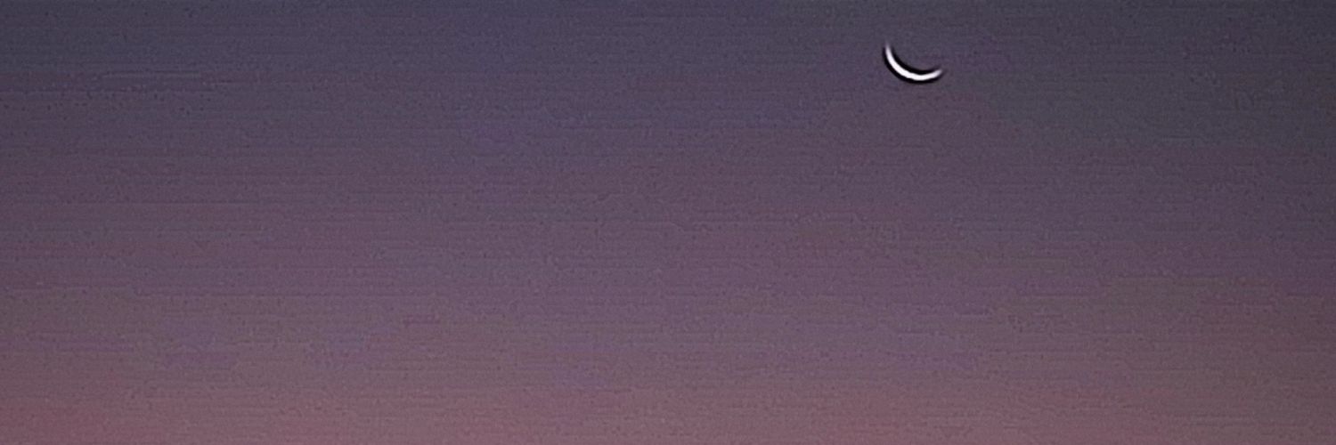 maximoaguilera's profile banner image