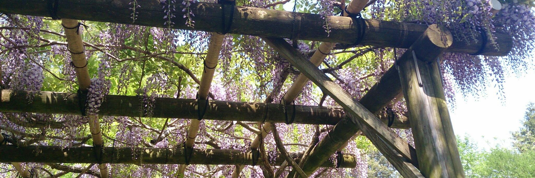 爬格子新手 banner