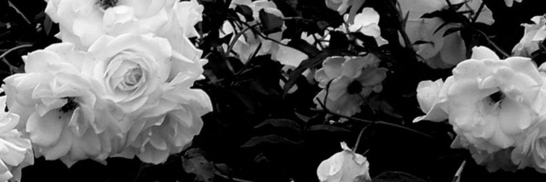 KatJennyfer's profile banner image