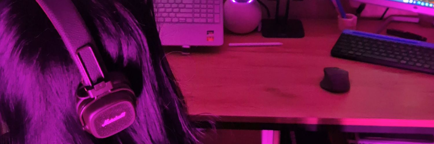 flylolcry's profile banner image