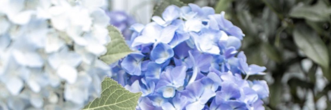 Juyoyoo's profile banner image
