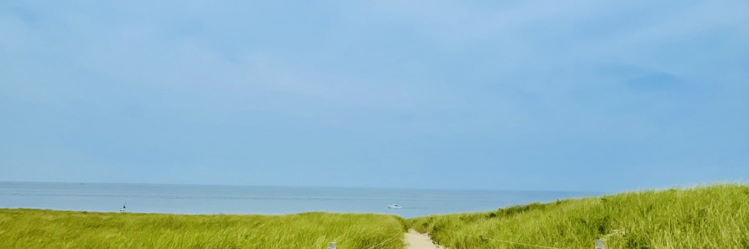 DownIvory's profile banner image