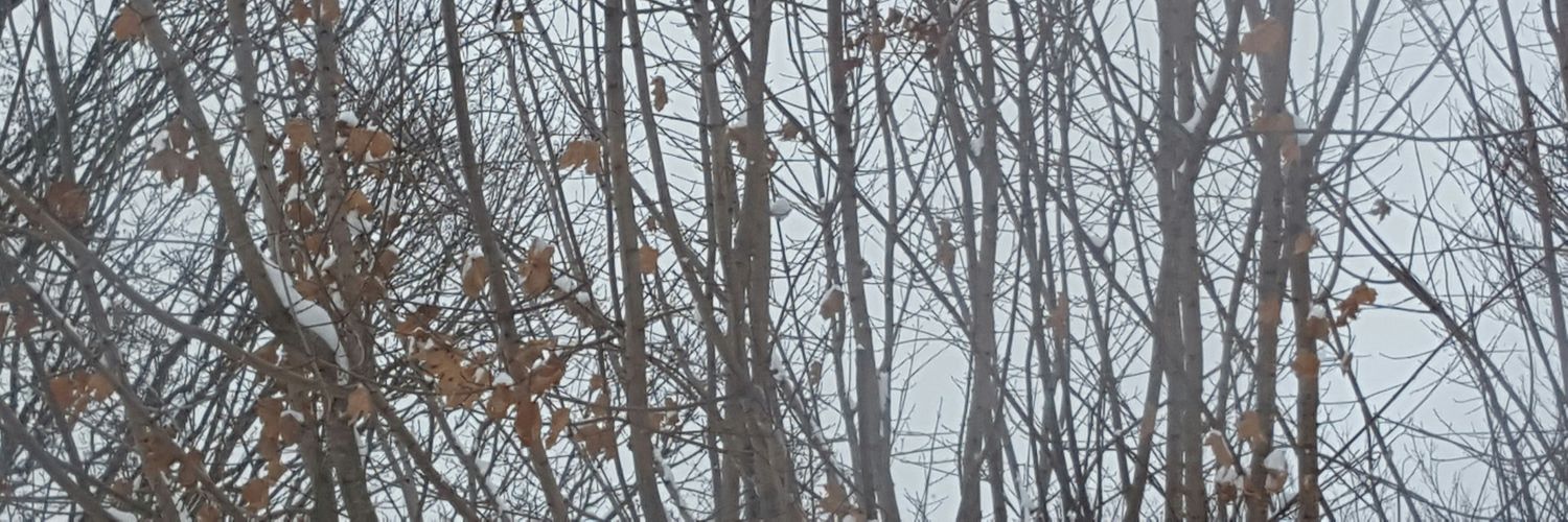 confuzed_monkey's profile banner image