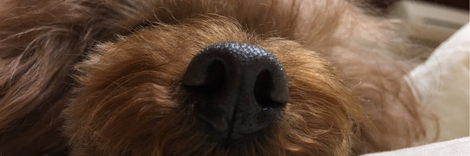 kott024's profile banner image