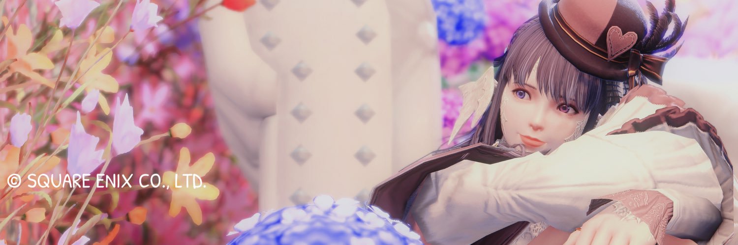 aniseff14's profile banner image
