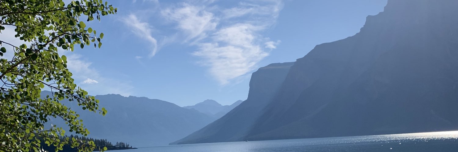 MMeechem's profile banner image