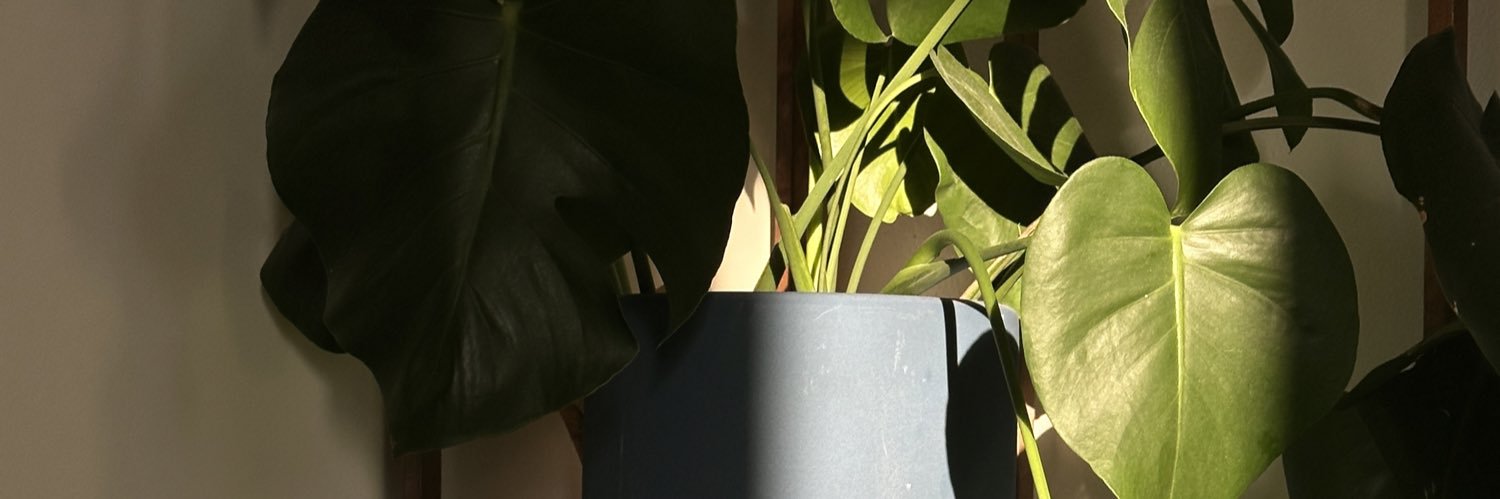 rooneytns's profile banner image