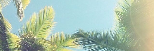 jade_hogencamp's profile banner image