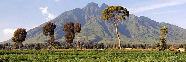 ndoligitare Profile Banner