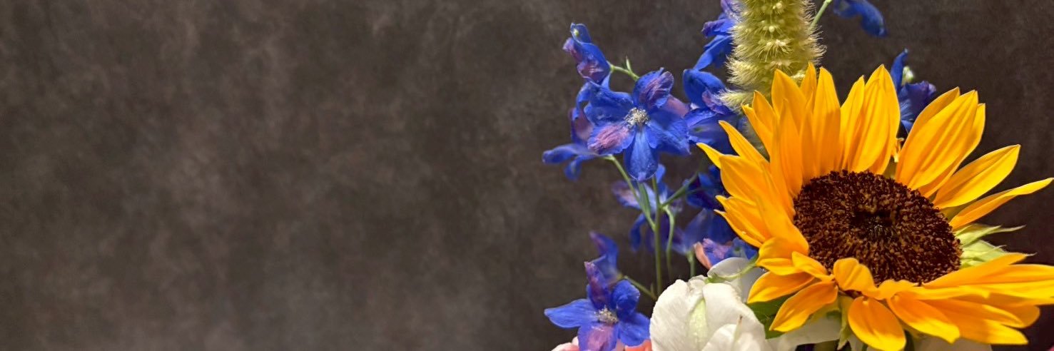 bopmap's profile banner image