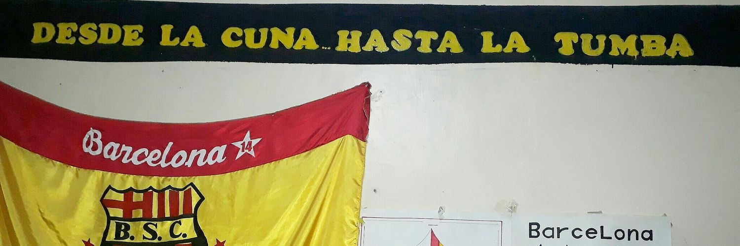 totto coronel banner