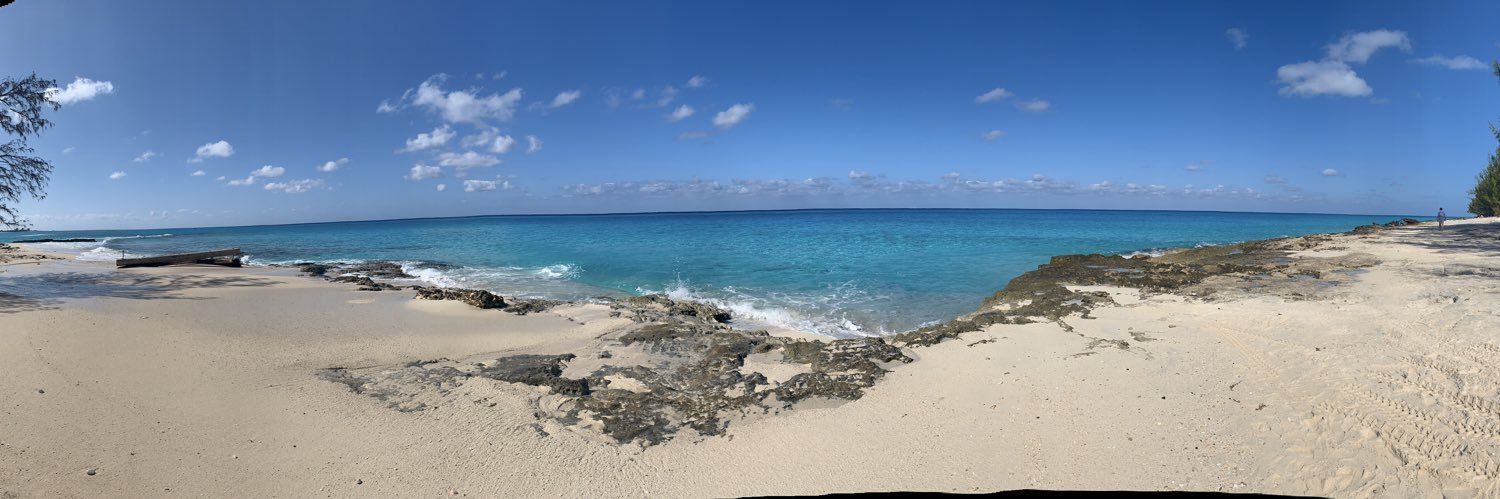 Cha-ree-ree🌻☀️🌵🏴‍☠️ banner