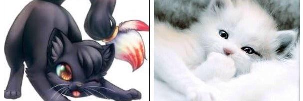 showdowkit's profile banner image