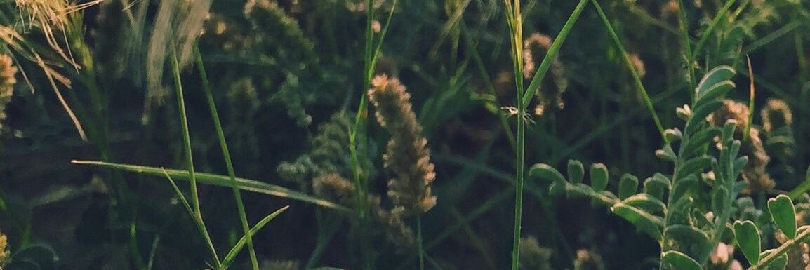 ghaid290's profile banner image