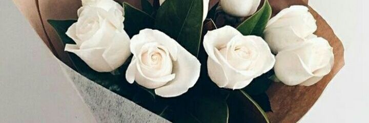 AmandaMqadi's profile banner image