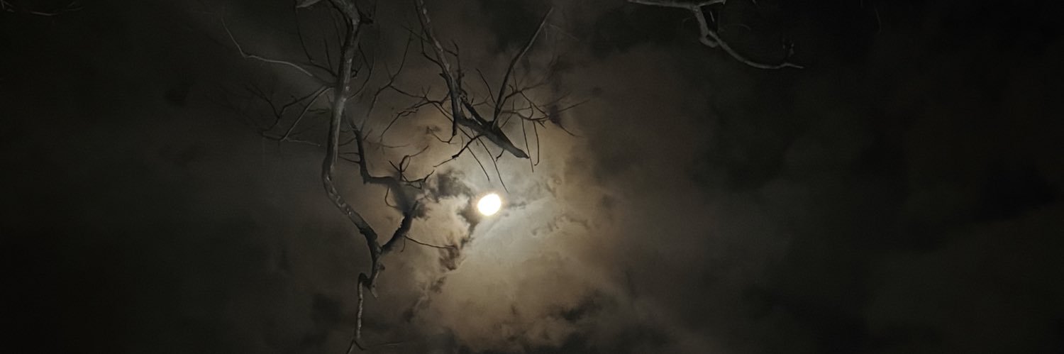 nmba676's profile banner image
