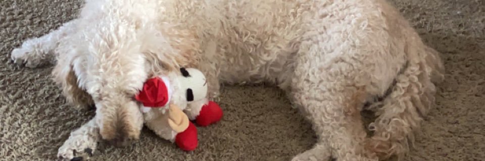 Jared Gilmore banner