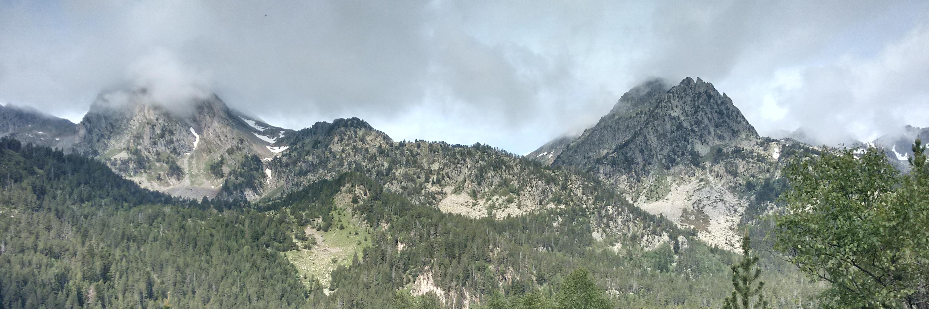 Paloma Ruiz Benito banner