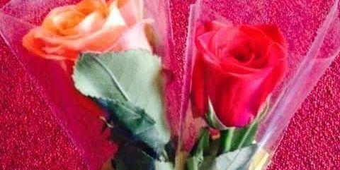 jamalshafi124's profile banner image