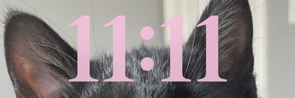 vanembx's profile banner image