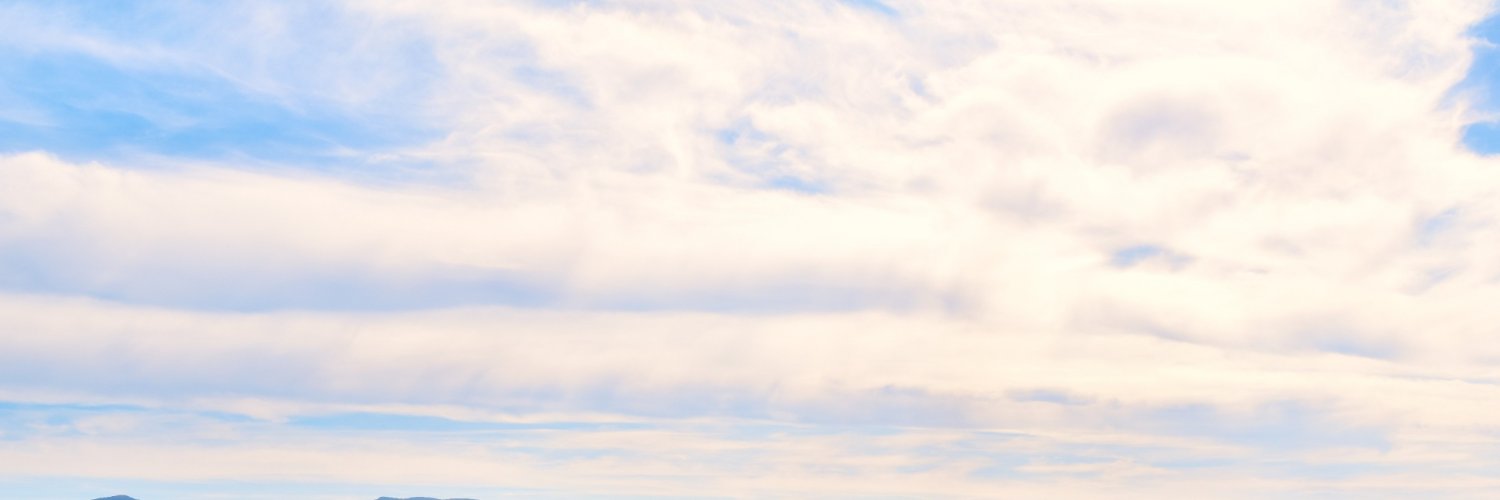Connor banner