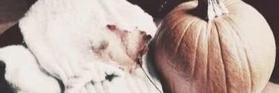 premiumliam's profile banner image