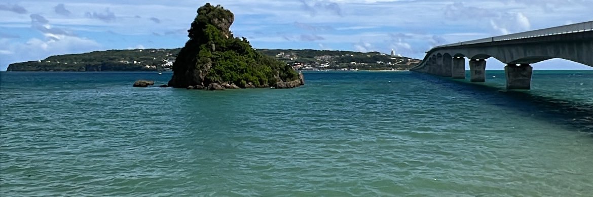 hima_richman's profile banner image