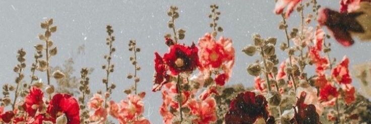 DaaiZapata's profile banner image