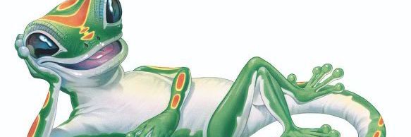 Geicolizard2's profile banner image