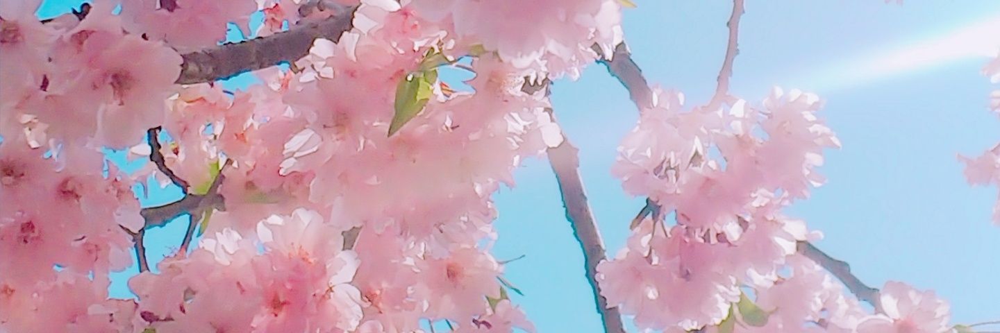 9elysion's profile banner image