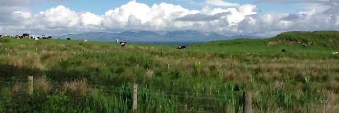 WeeIsleDairy's profile banner image