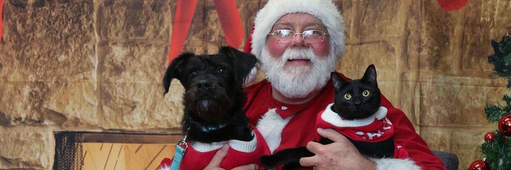 WilPhil62's profile banner image
