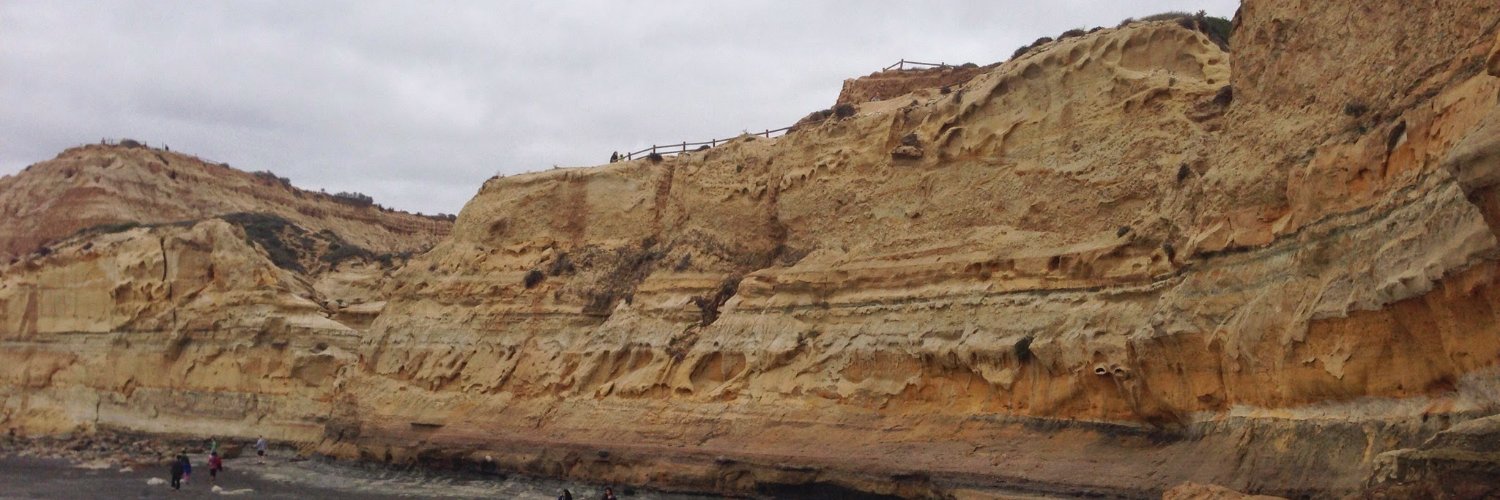 Georgia Stuart banner