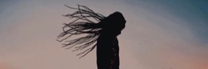 Dr. E.G. Vitulli Ph.D. banner