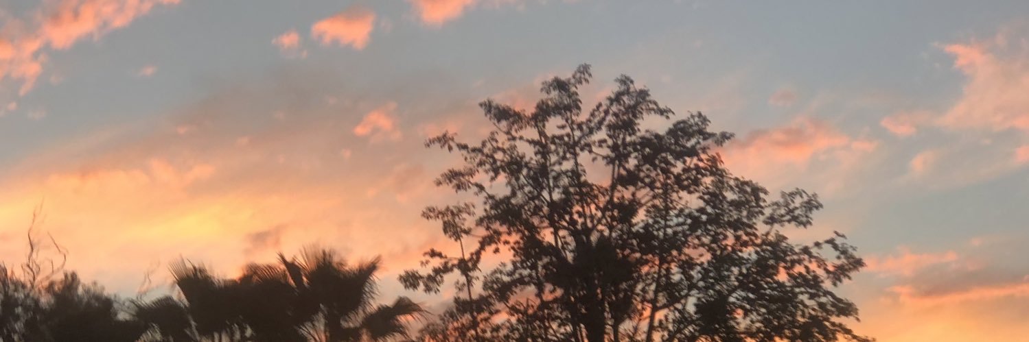 MostafaAmin1995's profile banner image