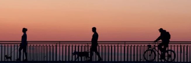 Сова_v_kedax banner