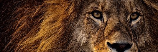 TheJordanHarris0️⃣ banner