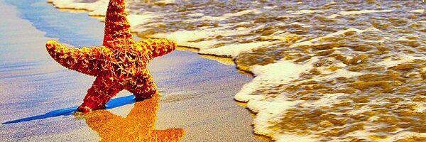 Rebeka_RS's profile banner image