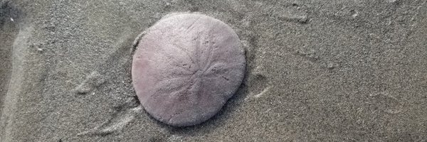 RDelbozque Profile Banner