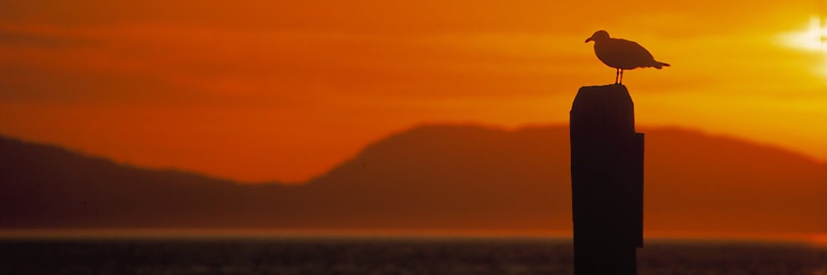 ProHappyJim's profile banner image