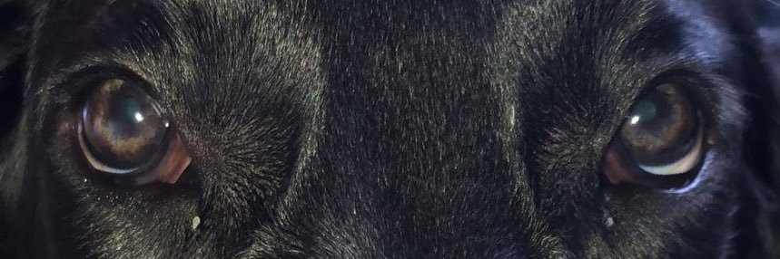 Jones_Austin_'s profile banner image