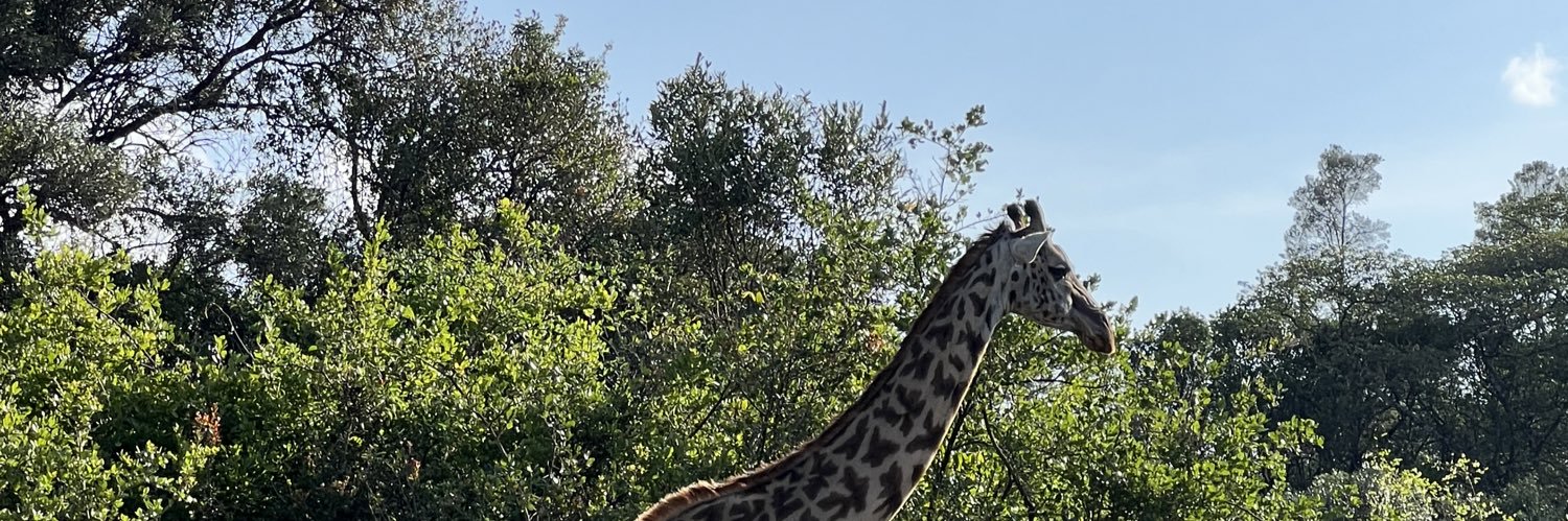 mauriceejnr's profile banner image
