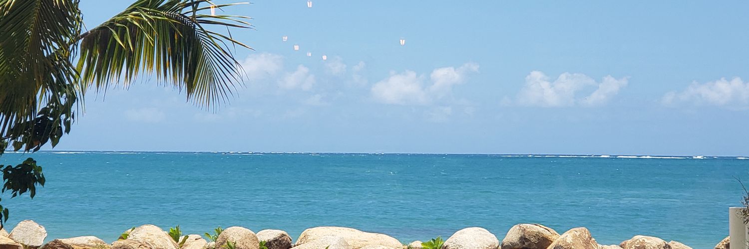 chinchopr's profile banner image