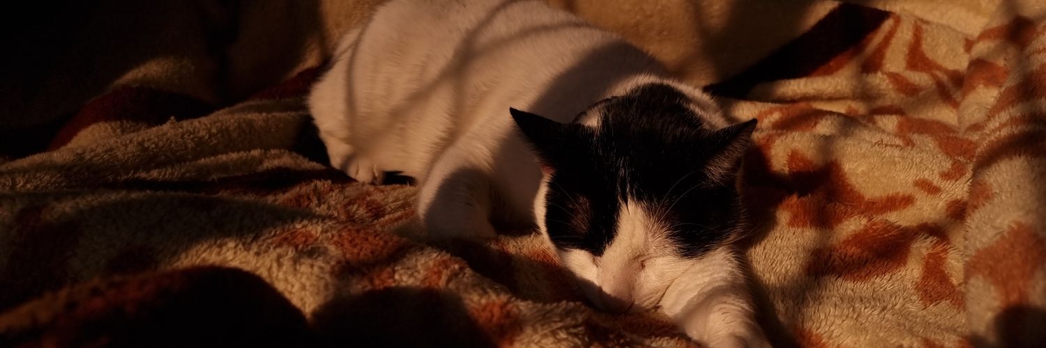 CarlosPixto's profile banner image