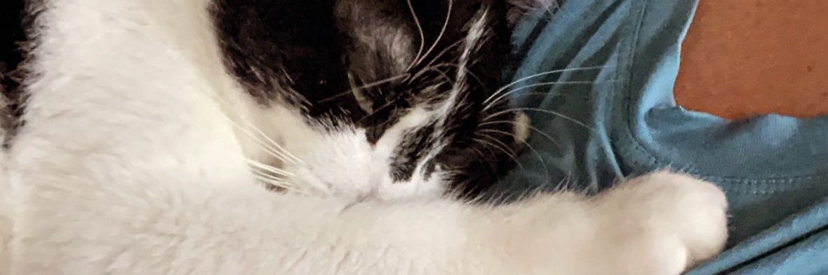 Wendy_Varner's profile banner image