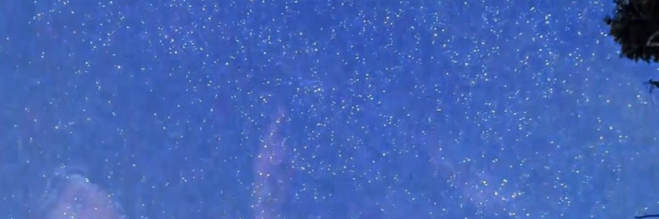 argumentoser's profile banner image