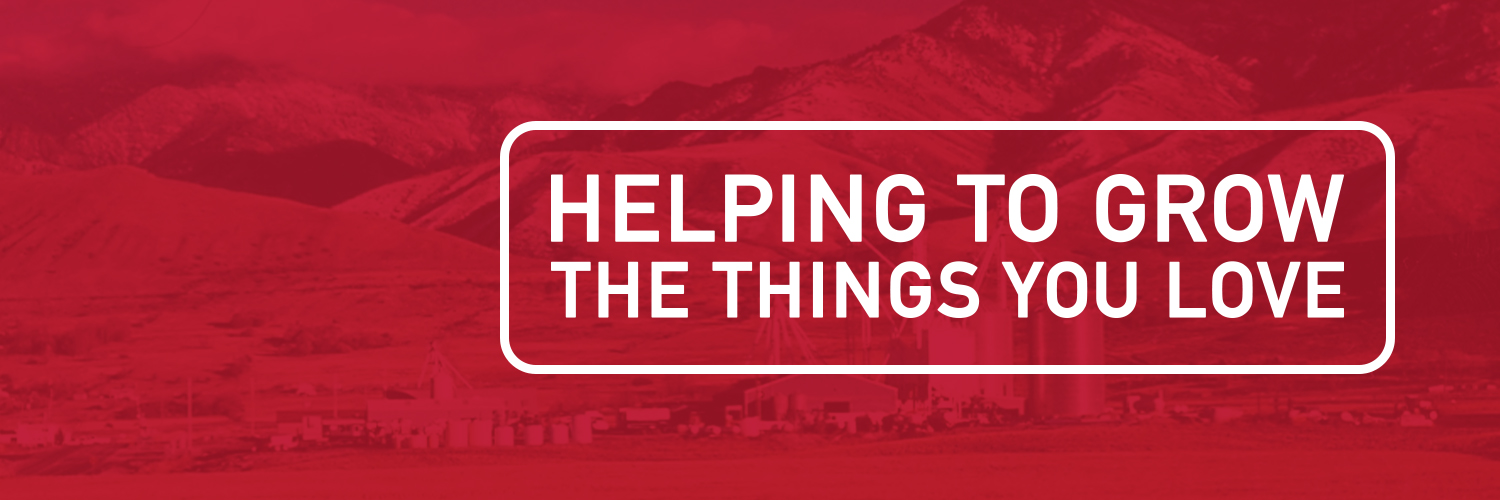 IFA Country Store banner