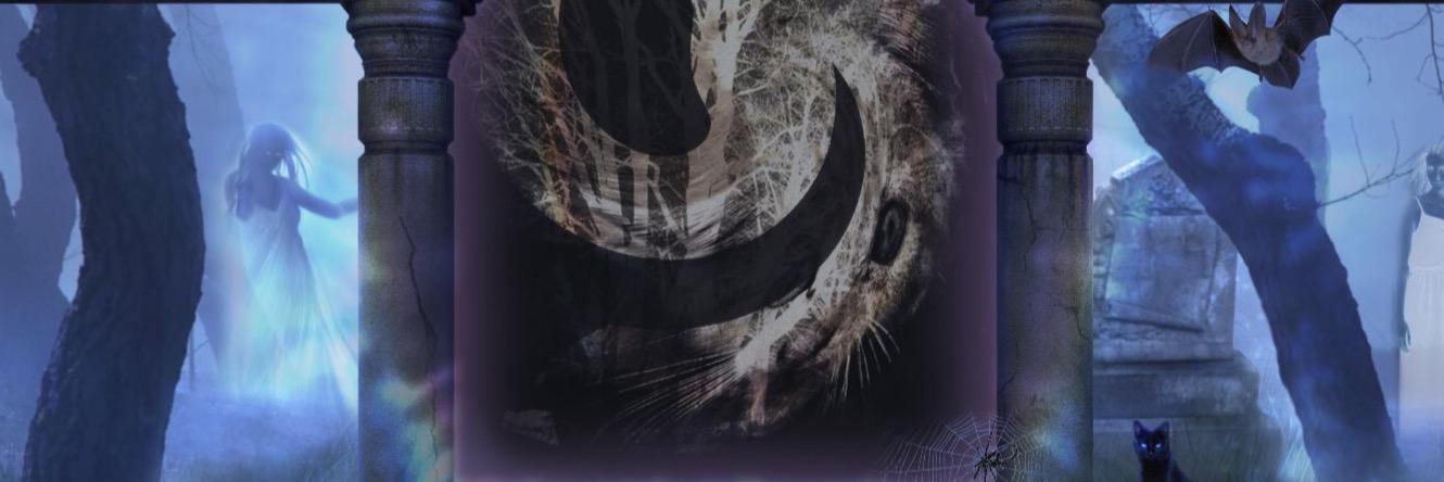 catshatemath's profile banner image