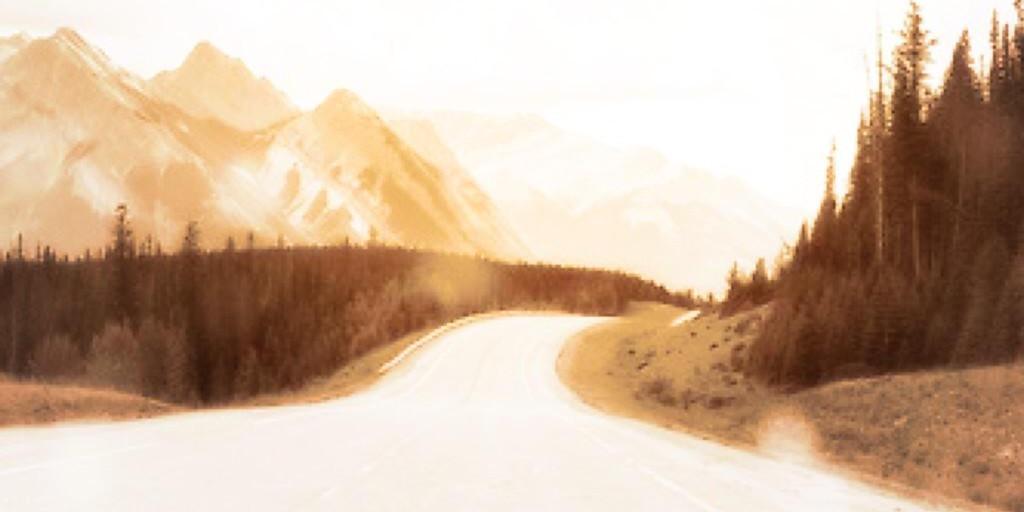 nuggetloverr's profile banner image